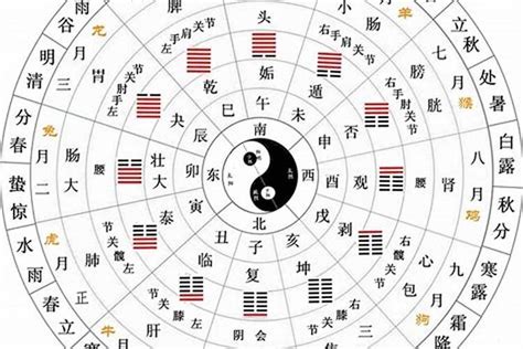 什么是天干地支|何为“天干地支”？ 详解“天干地支”的具体含义